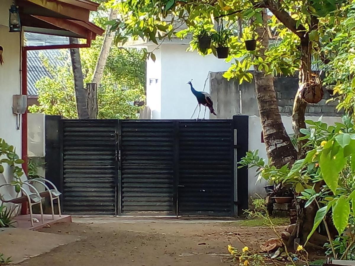 4Ty Two Homestay ガル エクステリア 写真