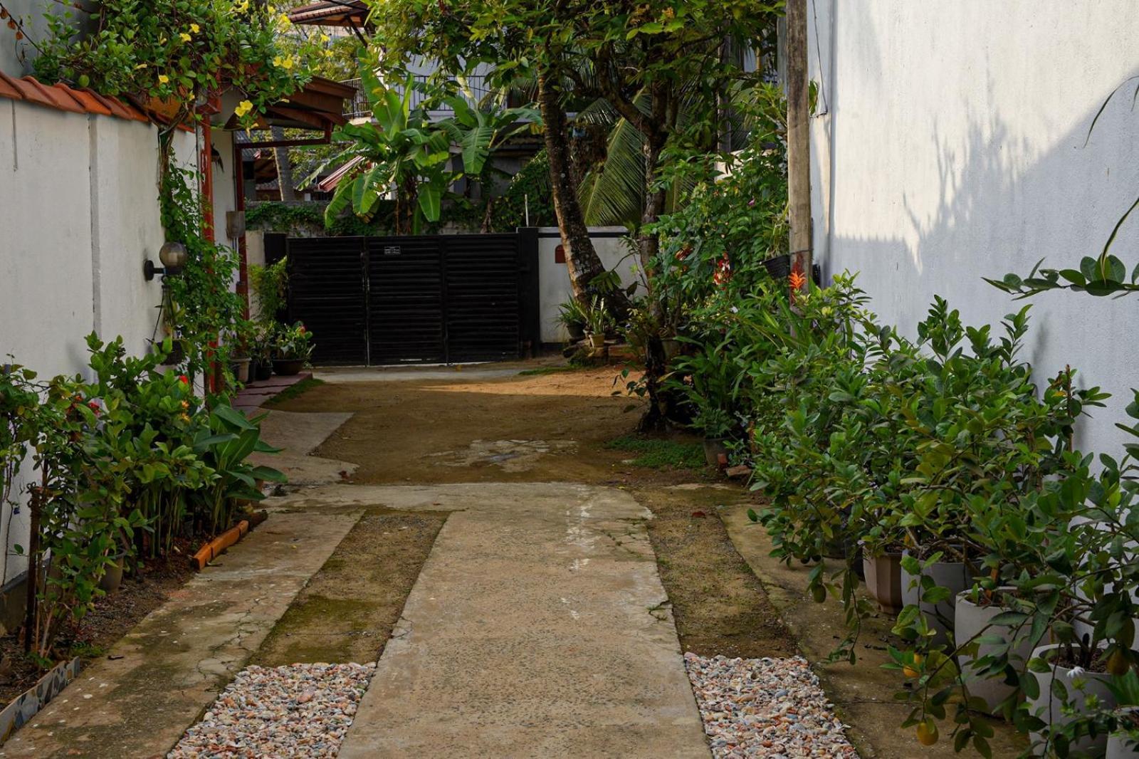 4Ty Two Homestay ガル エクステリア 写真