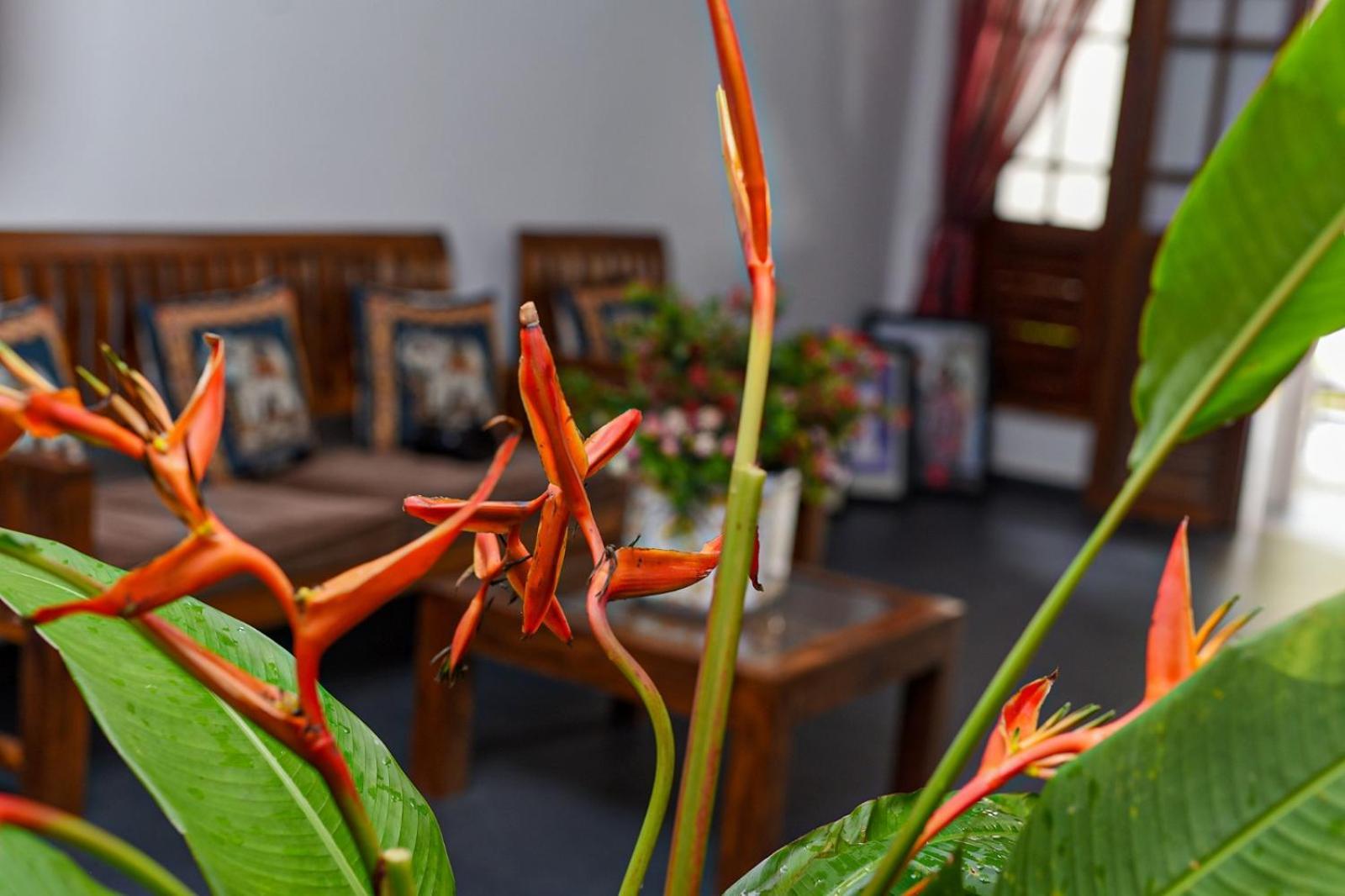 4Ty Two Homestay ガル エクステリア 写真